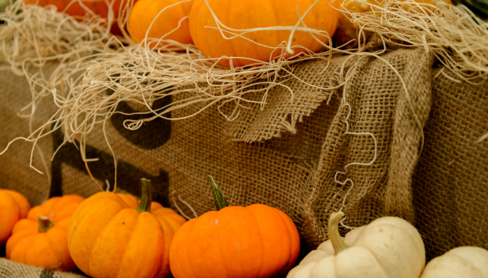 Market News - October 2021