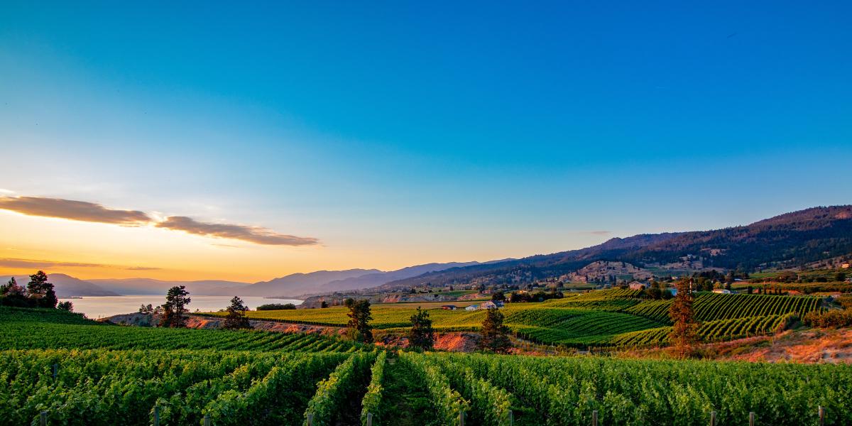 Acreage  Cultivate your dream garden and have room to roam in the privacy of your very own Okanagan acreage.