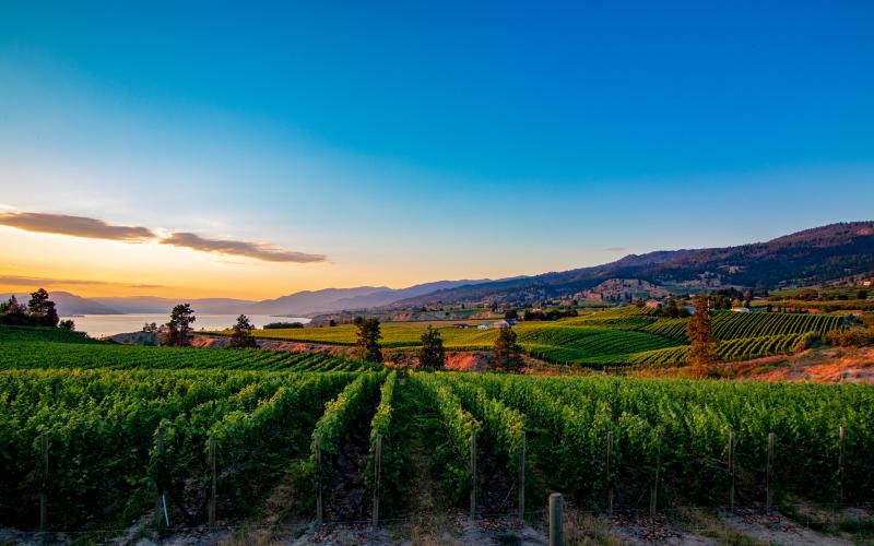 Discover the Okanagan: don't forget to bring your skis, golf clubs, boat, and wine glasses!