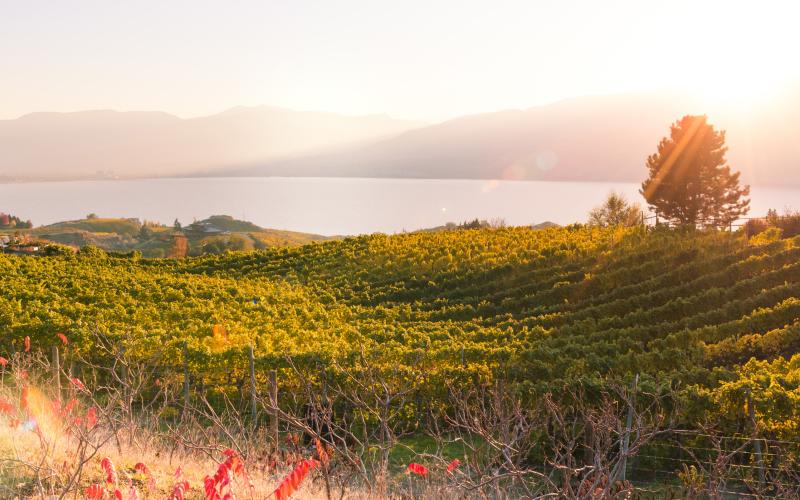 Discover the Okanagan lifestyle: sparkling lake views, mountain trails, urban amenities
