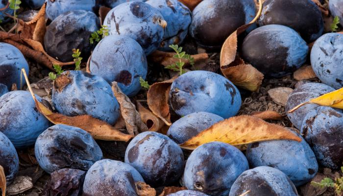 Market News - September 2020
